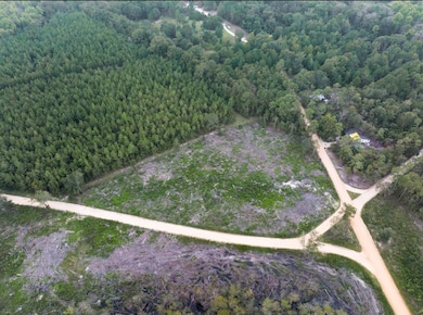 00 Sam Anderson Rd, Glennville, GA 30428 - photo 2