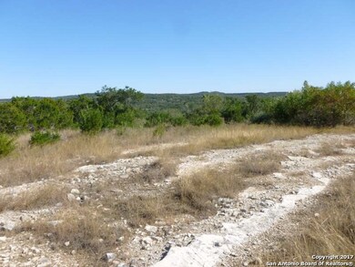 6439 County Road 251, Hondo, TX 78861 - photo 7