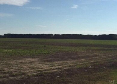 0 Foley Expy unit 562796, Foley, AL 36535 - photo 5