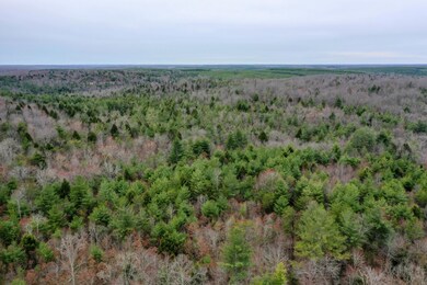 DJI_0405