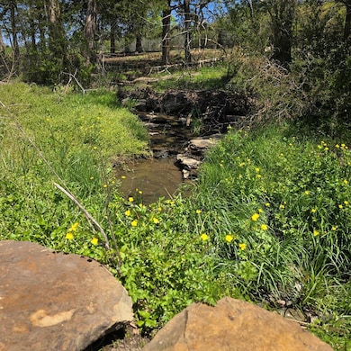 127 Rushing Springs Rd, Monterey, TN 38574 - photo 4