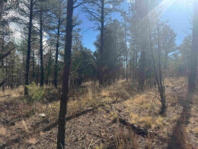 0 Summer Dr unit 171889, Timberon, NM 88350 - photo 6