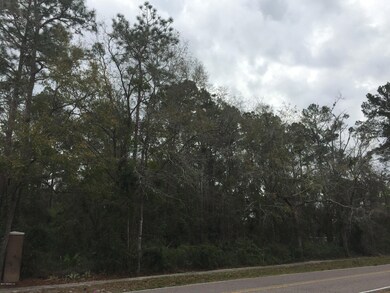 0 Duval Rd unit 868300, Jacksonville, FL 32218 - photo 4