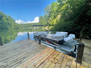 Dock and pontoon boat (boat does not convey)