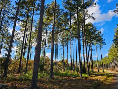 0 Walnut Grove Farm Ln, Hanover, VA 23069 - photo 3