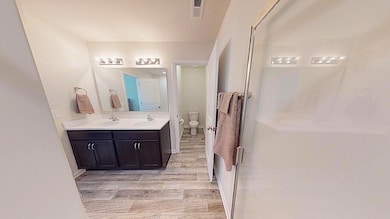 primary bath