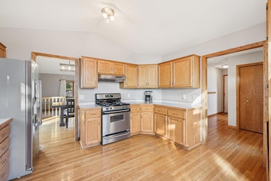 4824 89th Crescent N, Brooklyn Park, MN 55443 - photo 4