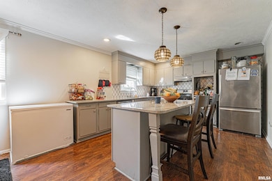 101 S Bogardus St, Elkhart, IL 62634 - photo 5