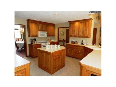 140 Mallard Creek Run, Lagrange, OH 44050 - photo 4