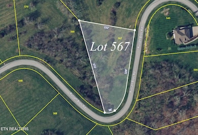 Lot 567 Russell Brothers Rd, Sharps Chapel, TN 37866 - photo 3