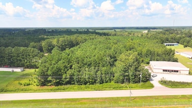 0 Highway 521 unit Lot A, Greeleyville, SC 29056 - photo 6