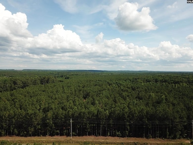 5051 Spring Hill Rd, Rembert, SC 29128 - photo 4