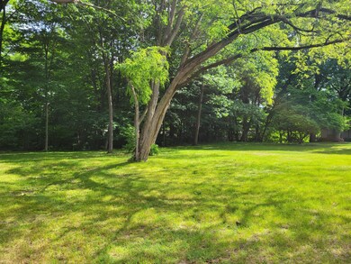Hubbard St. - Pic #4 (Lot)