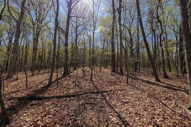 TBD Shotgun Spring Rd, New Market, VA 22844 - photo 5