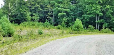 86 S Ridge Rd unit 21, Bradford, NH 03221 - photo 3