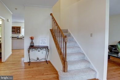 6223 Point Ct, Centreville, VA 20120 - photo 4