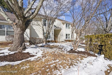 2-web-or-mls-DSC02887