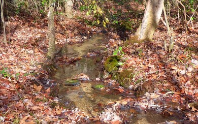 LOT 5 Doublehead Gap Rd, Blue Ridge, GA 30513 - photo 2