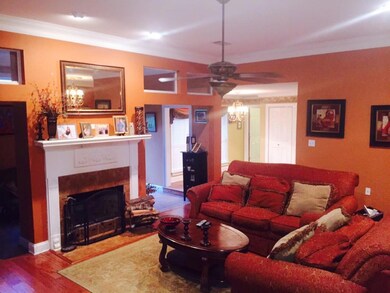 Den with fireplace