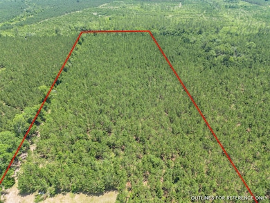 0 Oriole Rd unit 23852171, Alma, GA 31510 - photo 6