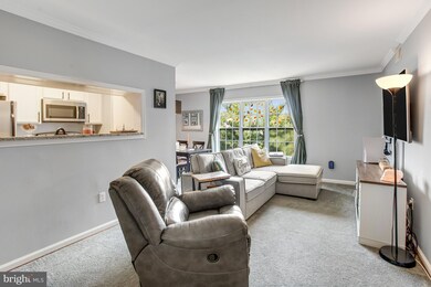 15637 Horseshoe Ln unit 637, Woodbridge, VA 22191 - photo 5