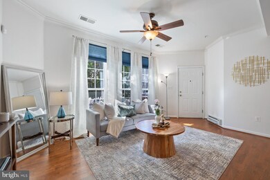 7223 Darby Downs, Elkridge, MD 21075 - photo 6