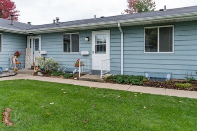 Green Meadow-15