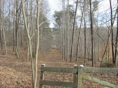 Beautiful wooded waterfront tract