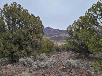 2976 Juniper Way, New Harmony, UT 84757 - photo 3