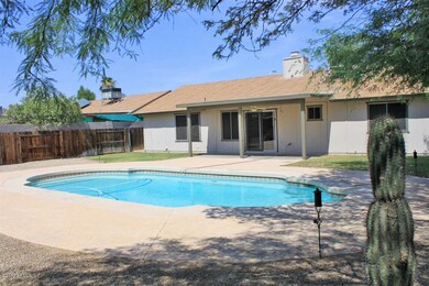 005 Backyard