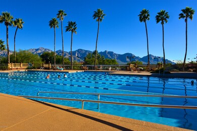 933 E Royal Ridge Dr, Oro Valley, AZ 85755 - photo 6