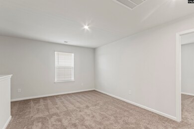 241 Wheat Farm Rd, Columbia, SC 29209 - photo 5