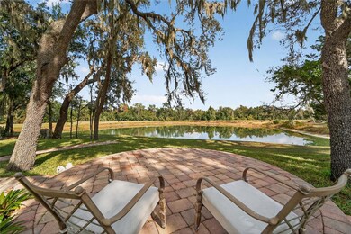 16022 Ternglade Dr, Lithia, FL 33547 - photo 6