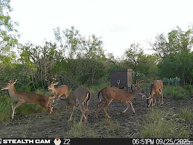 A-735 Franklin Ranch Rd, Tilden, TX 78027 - photo 2