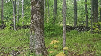 783 Dexter Mountain Rd unit 3A, Glover, VT 05839 - photo 6