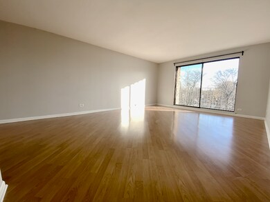 1551 Ashland Ave unit 402, Des Plaines, IL 60016 - photo 3