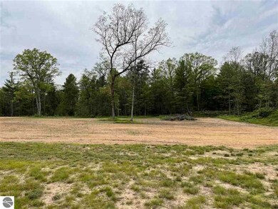 0 Esmond Rd unit 1890514, Hale, MI 48739 - photo 4