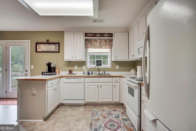 303 Carly Ct, Bethlehem, GA 30620 - photo 6