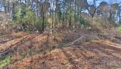 4231 Roscoe Rd, Myrtle Beach, SC 29588 - photo 6