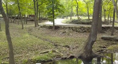 Road leading up to the property.