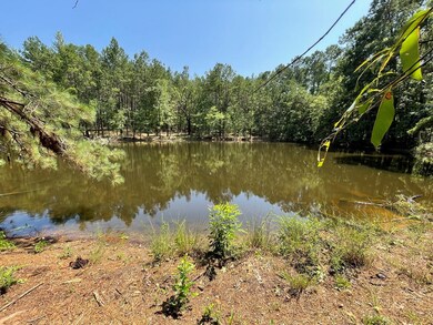 NA Reservoir Rd, Waynesboro, MS 39367 - photo 7