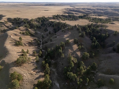 Tbd 448 Trail, Hay Springs, NE 69347 - photo 6