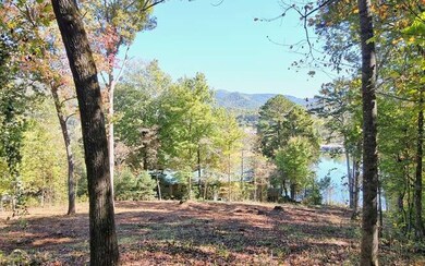 Additional View