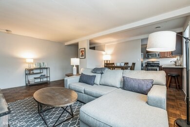 7206 Oak Ave unit 1NE, River Forest, IL 60305 - photo 4