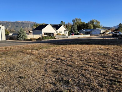 3873 Quarterhorse Dr unit S 1/2 Lot 9 Blk 6, Enoch, UT 84721 - photo 4