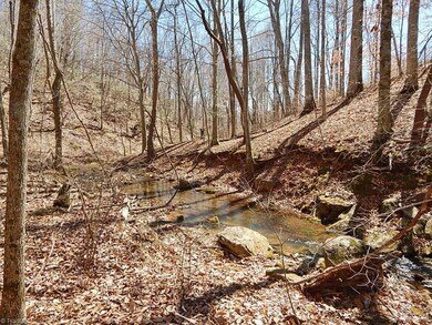 0 Deer Tracks Ln unit 750781, Misc., NC 27022 - photo 3