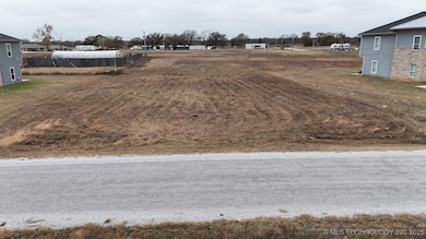 0 Sandpiper Rd unit 2549172, Thackerville, OK 73459 - photo 5