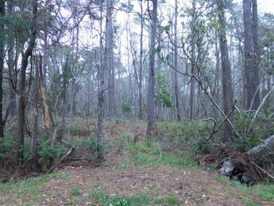 Lot 5 Gray Mans Loop, Pawleys Island, SC 29585 - photo 5