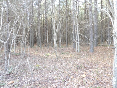 Lot 22 Summer City Rd, Evensville, TN 37332 - photo 3
