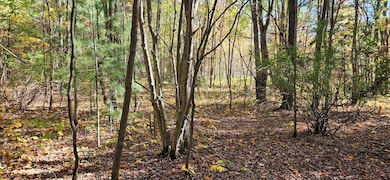 1100 E Bard Rd, Muskegon, MI 49445 - photo 5